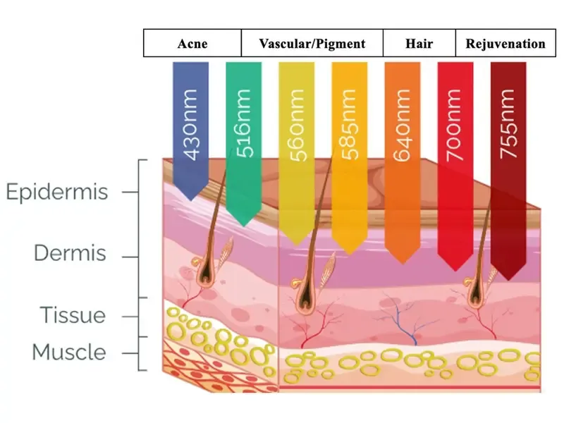 What is a Cell light machine? How does it work?